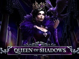 Queen Of Shadows game cover