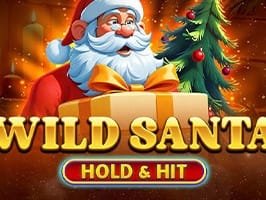 Wild Santa Hold and Hit