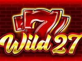 Wild 27 game cover